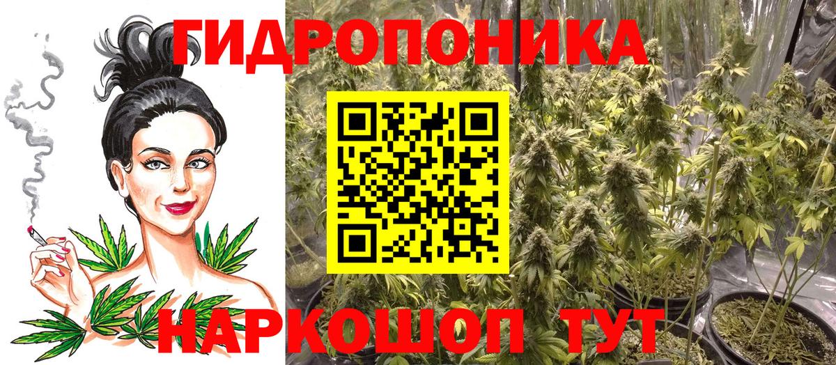 Конопля индика  Вход с VPN  Канабис Bruce Banner  Марихуана White Widow  Тимашёвск  МАРИХУАНА VHQ 